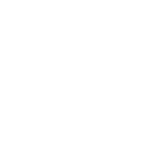 tab-4-icon-n